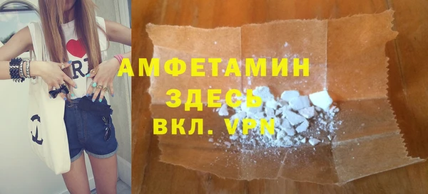 индика Елабуга