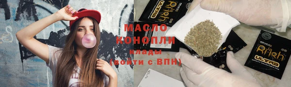 индика Елабуга