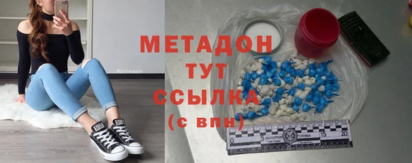 индика Елабуга