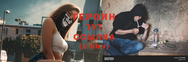 индика Елабуга