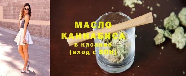 индика Елабуга