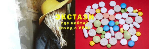 индика Елабуга