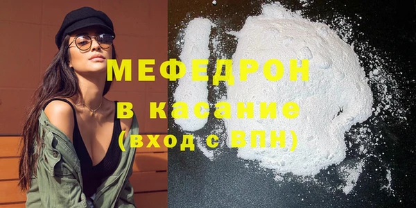 индика Елабуга