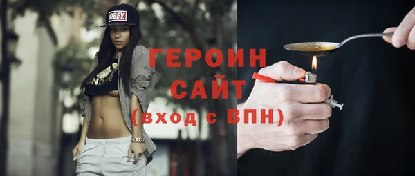 индика Елабуга