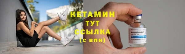 индика Елабуга