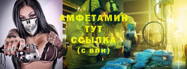 индика Елабуга
