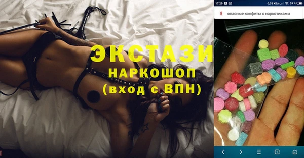 индика Елабуга