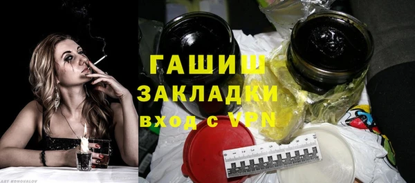 индика Елабуга