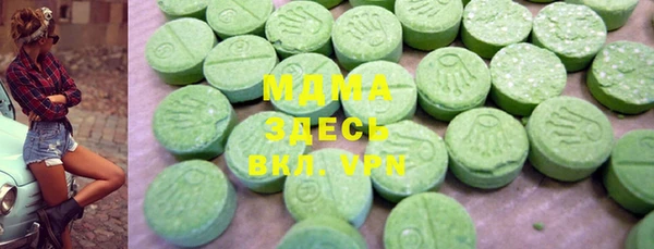 индика Елабуга